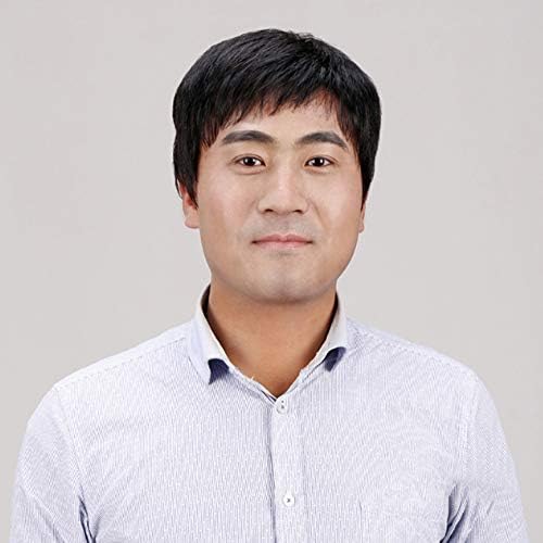 Fashion men's wig Short Straight Middle Age Mature high quality synthetic Natural Looking Synthetic Hair