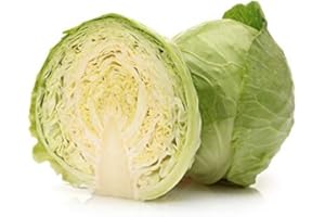 BRISTOL FARMS Green Cabbage, 1 Each