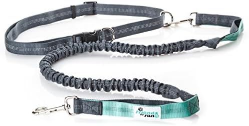 Hands Free Dog Leash For Running, Jogging, Walking, Hiking, Adjustable Waist Belt (Fits up to 48" waist), Reflective Stitching, Durable Dual Handle Bungee Leash