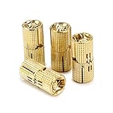 OwnMy 12mm Hidden Brass Barrel Hinges