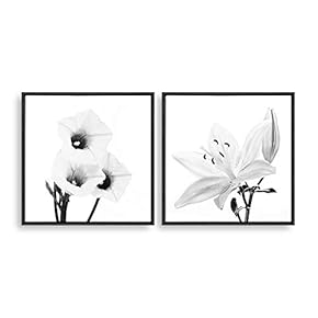 2 Piece Framed Home Artwork Transparent Flower for...