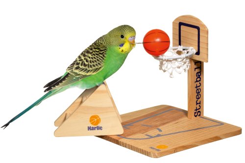 Karlie Bird Toy