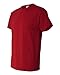 Gildan mens 5.3 oz. Heavy Cotton T-Shirt (G500)