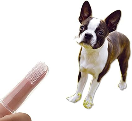 Jeux De Doigts à Brosser Les Dents Pour Animaux Chien Chat