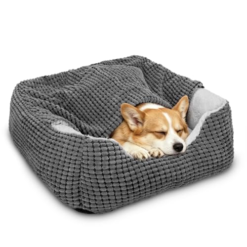 GASUR Hooded Rectangle Dog Bed