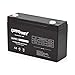ExpertPower 6V 10AH Sealed Lead Acid (SLA) Battery with F1 Terminal
