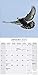 Pigeon Calendar - Cute Animal Calendar - Calendars 2019 - 2020 Wall Calendars - Animal Calendar - Pigeons 16 Month Wall Calendar by Avonside