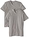 Hanes Men's Nano Premium Cotton V-Neck T-Shirt (Pack of 2), Vintage Gray, XX-Large