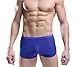 YiZYiF Men's Mesh Boxer Briefs Underwear Transparent Shorts Blue X-Large