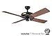 Hunter Outdoor Ceiling Fan Black 23838 52