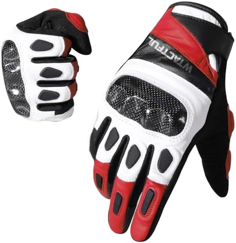 Amazon.com: Alpinestars Men's SP-1 V2 Leather Motorcycle Gloves