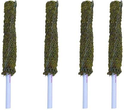 planatzee Moss Stick for Climbing House Plants - 2.5ft pack of 1