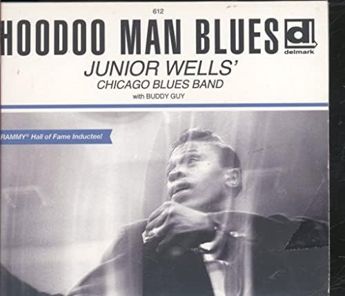 Junior Wells – Blues Hit Big Town Junior Wells, Junior Wells, Johnny Jones, Dave Myers, Elmore James