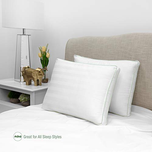 BioPEDIC 300 Thread Count Plush Filled Gusseted Bed Pillow with Ultra