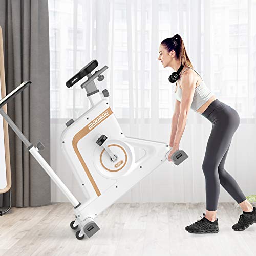 pooboo Desk Bike Adjustable Resistance Workstation Bike Desk Standing Desk Cycle For