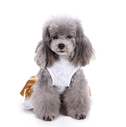 Iuhan Pet Dress, Elegant Lace Pet Clothes for Dog Dress Wedding Apparel Shirts Clothes (M, White) - Thumbnail 3