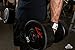 Bear Grips Lifting Straps with Padded Wrist Straps for Weight Lifting. Heavy Duty Deadlift Straps, Voted Best Workout Straps. with Added Grip On Strap. Fits All Wrist Sizes, Men & Women. Pink