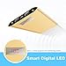 JEMMA 12000mAh Power Bank External Battery Portable Charger for iPhoneX 8, Samsung and More-Gold