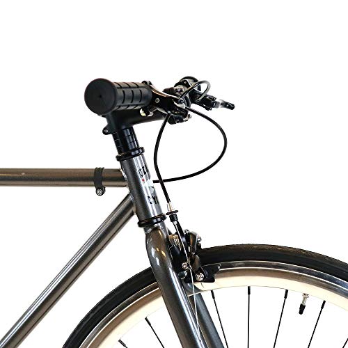 Golden Cycles Single Speed Fixed Gear Bike with Front & Rear Brakes (Chromatic, 55)