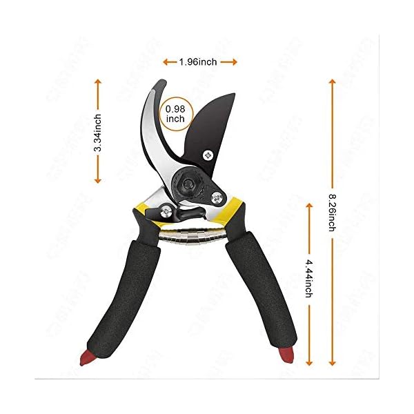 HEMIZA Gardening Tools Garden Shears Sharp Cutter Pruners Scissor, with Safety Lock Pruning Seeds with Grip-Handle… - Image 6