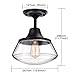 Petronius Industrial Semi Flush Mount Ceiling Light, Farmhouse Lighting Clear Glass Pendant Lighting Shade, Edison Vintage Style Hanging Lights Fixture（An Incandescent Bulb Included）