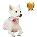 Blueberry Pet Dog Collar - Adjustable Flocking Puppy Collar with Silk Flower, Polka Dot in Pastel Purple, Medium 14.5
