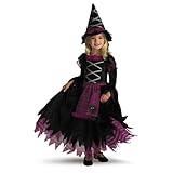 Fairytale Witch Costume - Medium (3T-4T)