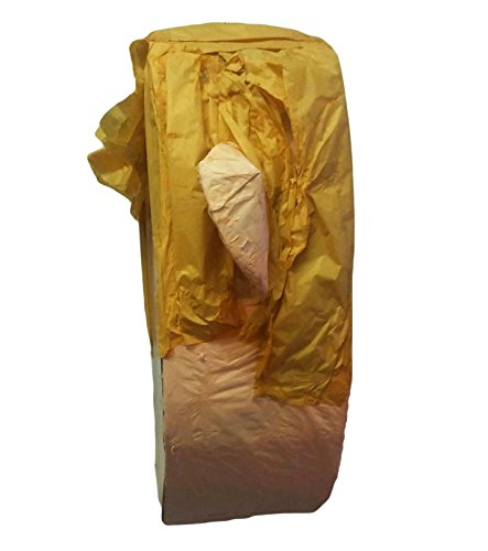 Pinatas Mr. President Donald Trump Pinata, Parody for Beating, Larger Than Life Head (17Inch)