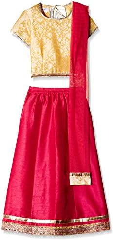 Atayant Girl Lehenga Choli