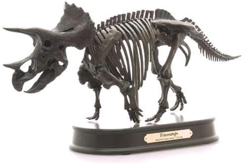 Amazon トリケラトプス 最高峰 スケルトンモデル恐竜グッズ 骨格フィギュア 通販 生物 動物 人体 おもちゃ