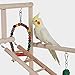 LLY 2019 Parrot Cage Standing Pole Training Frame Bird Perch Parrot Wood Activity Stand Bite Toy Birdcage Exercise for Cockatoo Parakeet Cockatielthumb 1