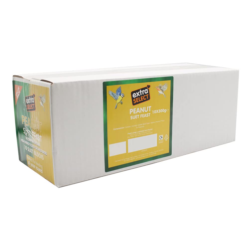 Extra Select Wild Bird High Energy Peanut Suet Blocks 10x300gm