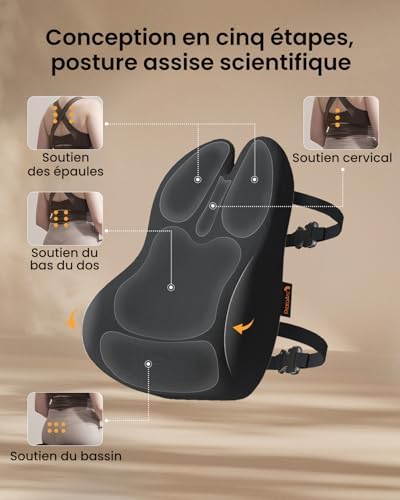 Coussin de Dossier Ergonomique en Mousse à mémoire de Forme, Coussin Lombaire pour Chaise de Bureau, siège Auto et Chaise de Bureau, Coussin Lombaire Respirant, Noir