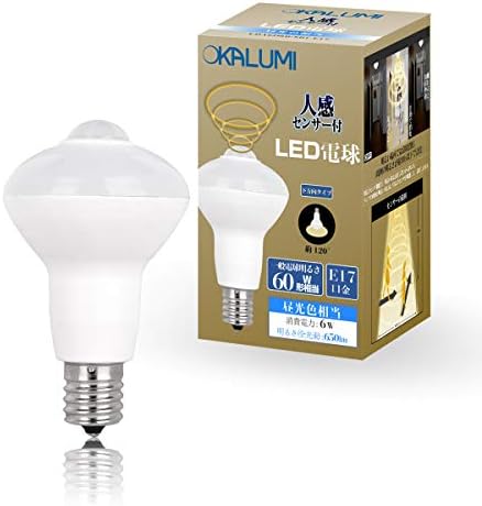 人感センサー付 Led電球 E17口金 60形相当 昼光色 5 9w 650lm 下方向タイプ 明暗センサー付 小型電球