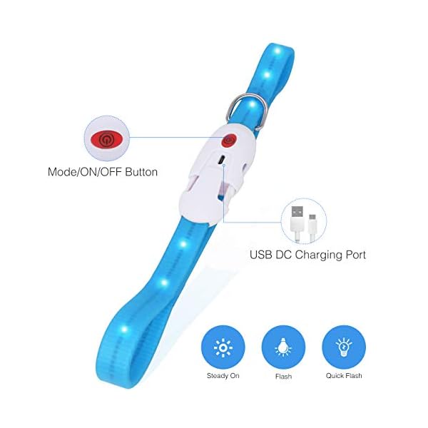 kolpop LED Leuchthalsband Hund, Hundehalsband Leuchtend USB