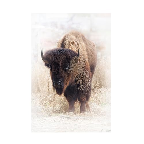 Trademark Fine Art Canvas Wall Art - David Drost 'Standing Buffalo II' Wall Art…