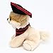 Gund Itty Bitty Boo #032 Pirate Plush, 5