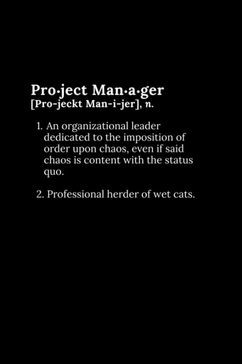 Project Manager Notebook (Journal, Diary): 6x9 lined notebook, 100 pages