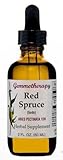 Gemmotherapy Red Spruce (Abies Pectinata) 1DH Boiron