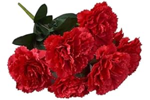 Artificial Hydrangea Flower Carnation Bunch Simulation Red Carnation Bouquet for Photography Wedding Home Decor (red) Gardeni