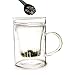 Primula Glass Mug with Loose Tea Infuser, 12-Ounce