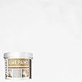 VASARI Lime Plaster & Paint | LIME PAINT | Made from Natural Lime and Powdered Marble | color: Pearl White #18 | size: 1 Quart