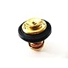 6E5-12411-02-6E5-12411-00-6E5-12411-10-Boat-Engine-Thermostat-for-Yamaha-2-Stroke-15HP-25HP-30HP-40HP-220HP-Outboard-Motors