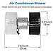 AUTEX HVAC Blower Motor Assembly Compatible with BMW 323i 2001-1999/BMW 323ti 328i 2000-1999/BMW 325Ci 330Ci 2006-2001/BMW 325i 325xi 330i 330xi 2005-2001/BMW 328Ci 2000/BMW X3 2010-2004 700165
