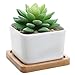 Modern Decorative Small White Square Ceramic Succulent Plant Pot w/Bamboo Draining Tray - MyGift®