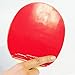DHS Ping Pong Table Tennis Racket Paddle Bat 4 Star Shakehand Long Handle Double Pimples-in Bat 4002 with Landson Support