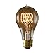 Bulbrite Incandescent A21 Medium Screw Base (E26) Light Bulb, 40 Watt, Antique