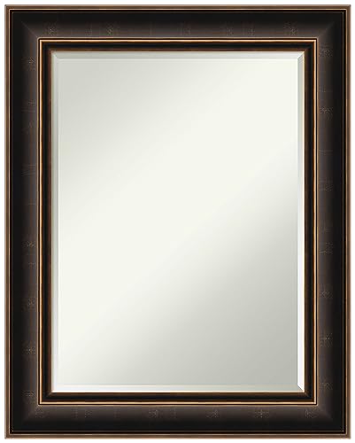Amanti Art Bronze Wall Mirror 30x24 Villa Oil Rubbed Bronze Rectangle Bathroom…