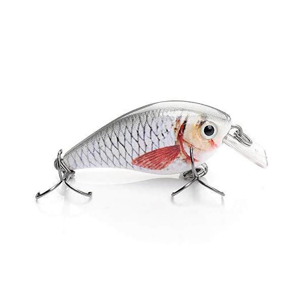 ELBFANG Crankbait Wobbler Set | 13g | 7,5cm | Barsch-Hecht-AngelkÃ¶der | KunstkÃ¶der Set – Bild 3