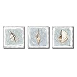 3Hdeko - Seashell Wall Decor for Bathroom Modern Coastal Wall Art Ocean Beach Theme Picture 3 Piece Conch Shell Painting Prints on Canvas, Ready to Hang (12x12inchx3pcs)